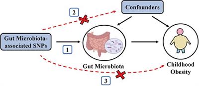 Mendelian randomization analyses support causal relationship between gut microbiota and childhood obesity
